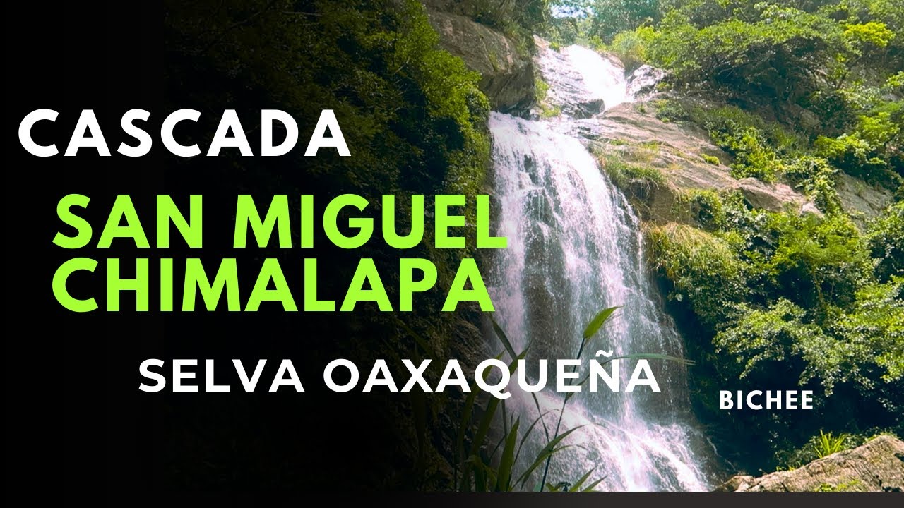 CASCADA DE SAN MIGUEL CHIMALAPA / Istmo de Tehuantepec Oaxaca / SELVA OAXAQUE&Ntilde;A 🚶&zwj;♂️