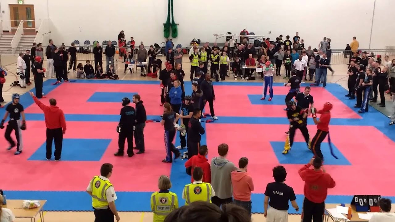 IAKSA kickboxing tournament .November 2015