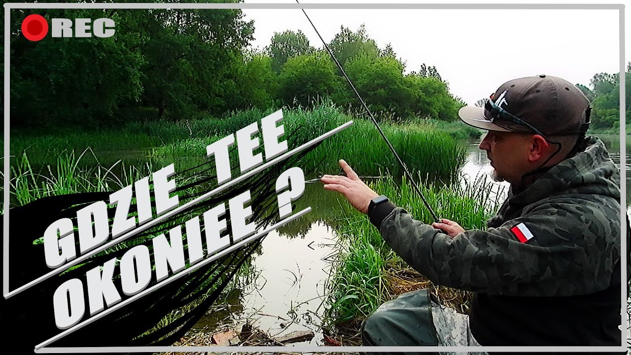 WARTA NA LEKKO / OKONIE NA TANTE