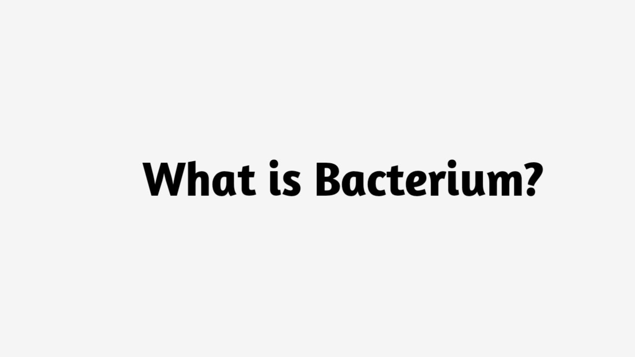 What is Bacterium ?