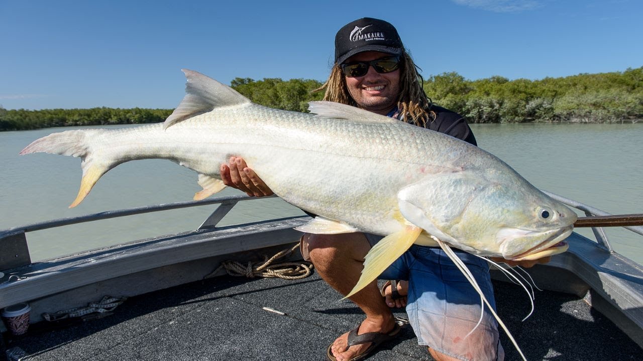 Reborn in Roebuck — A Salmon Tale