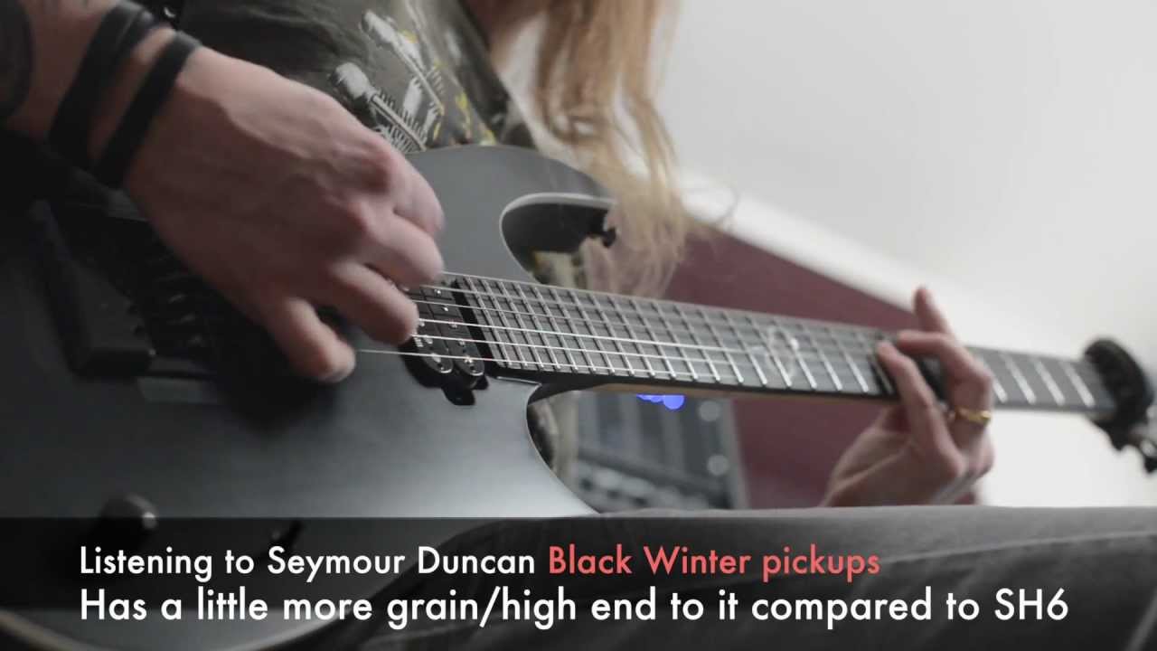 Seymour Duncan Black Winter pickups