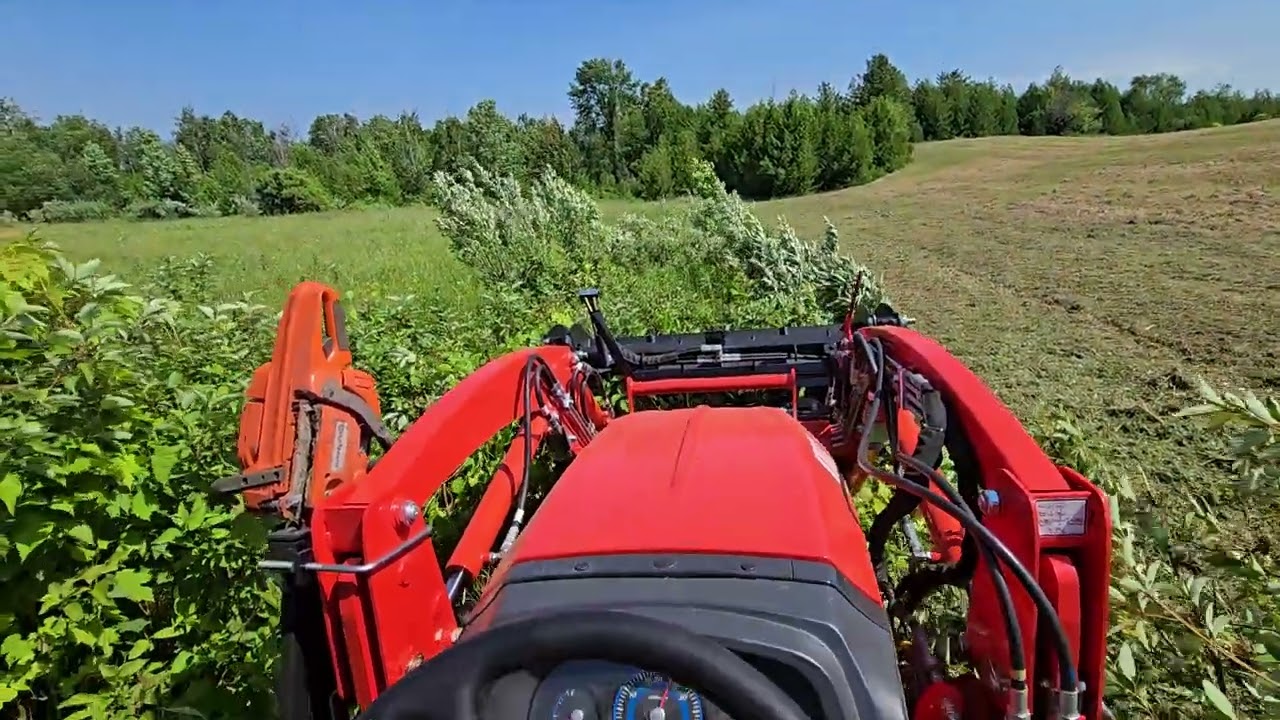 July 2025 Land Clearing  - Del Morino Flipper flail mower vs Autumn Olive