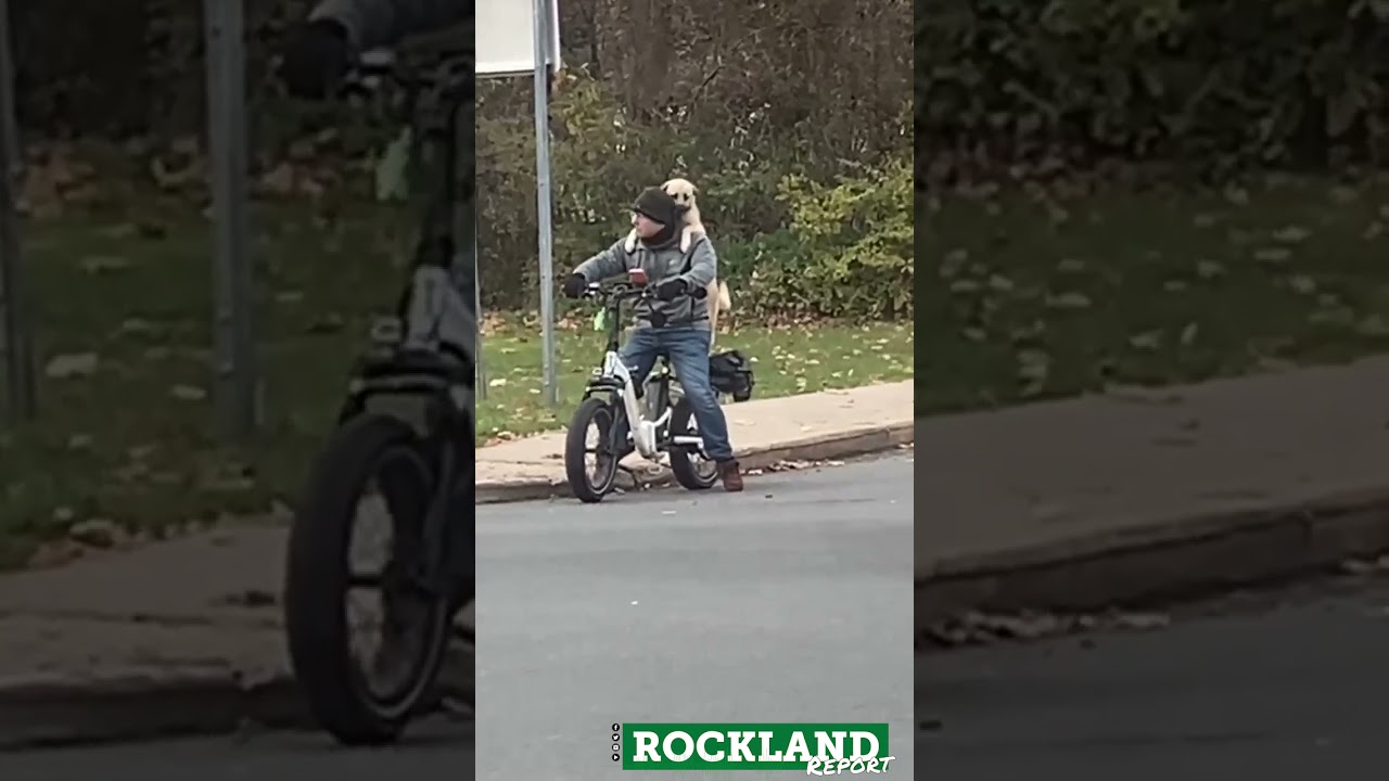 Biker and his Best Bud/Dog 🐕 Taking a Cruise in Congers (NY)