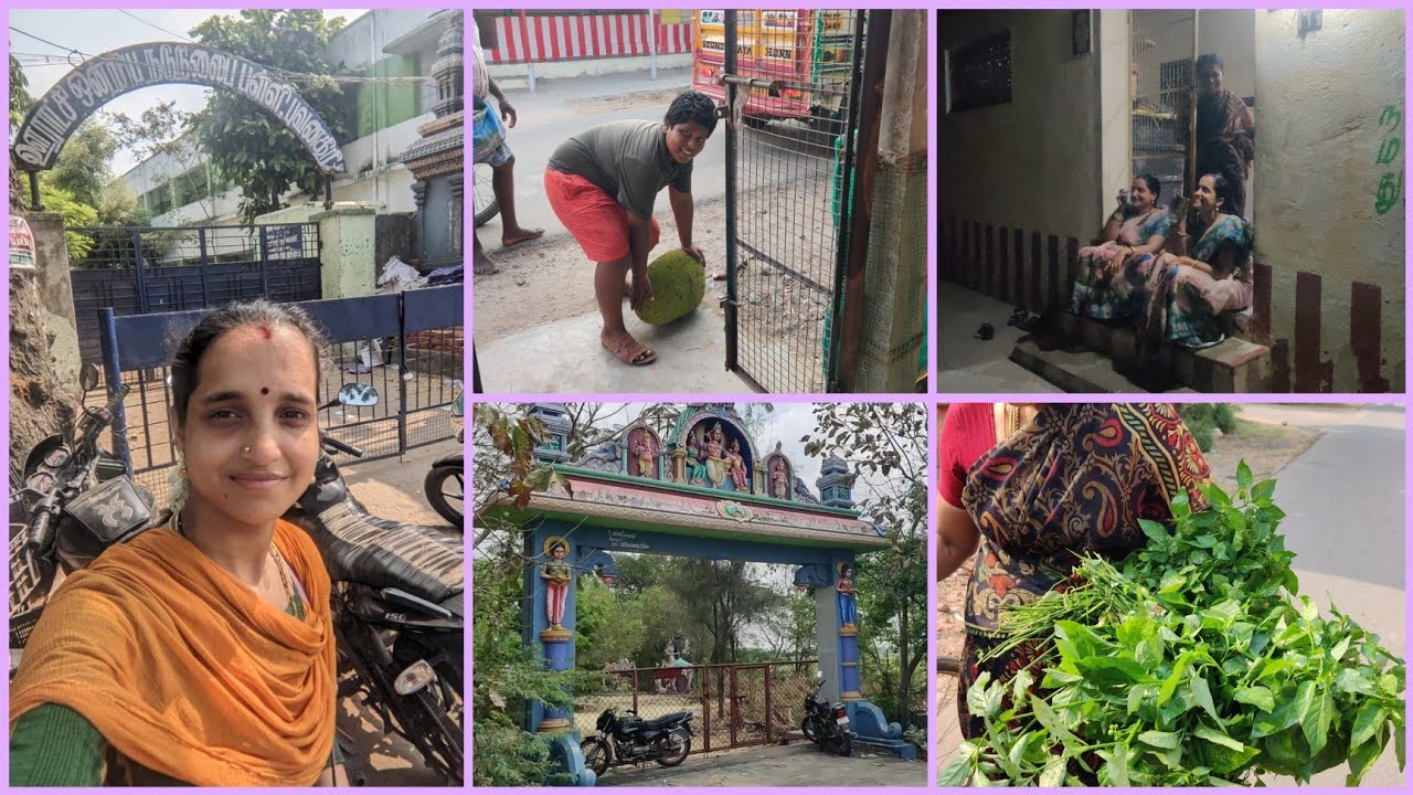 Amma veetu vlog | Our village life style | A Day in My Life | Short trip | Twins lifestyle inTamil