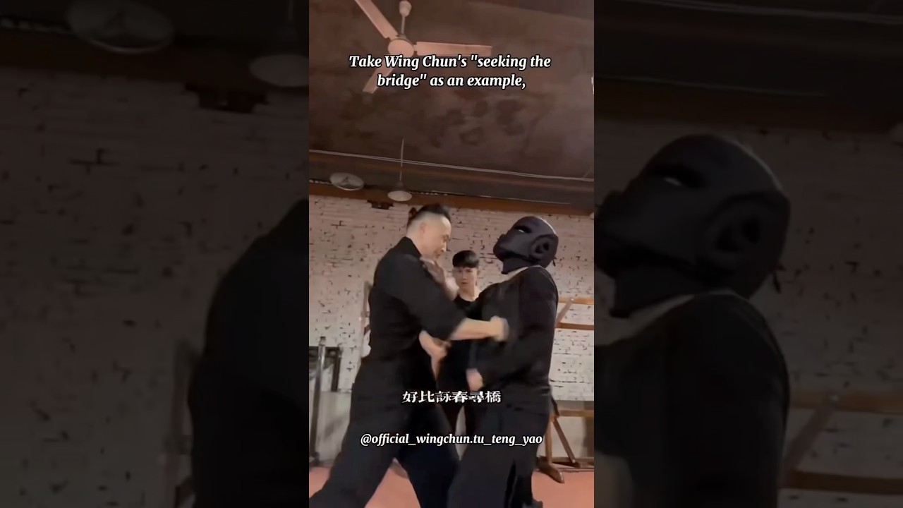 Master Tu Tengyao Wing Chun self defense Demonstration #wingchun #kungfu #martialarts #foryou #fyp