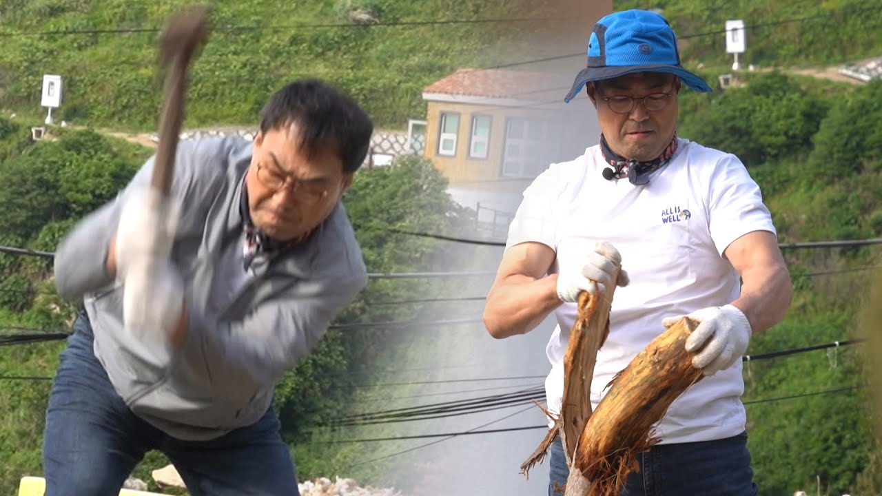 장작 패다 못해 찢는(?) '천하장사 괴력' 이만기 | 섬마을 할매 소매물도 편