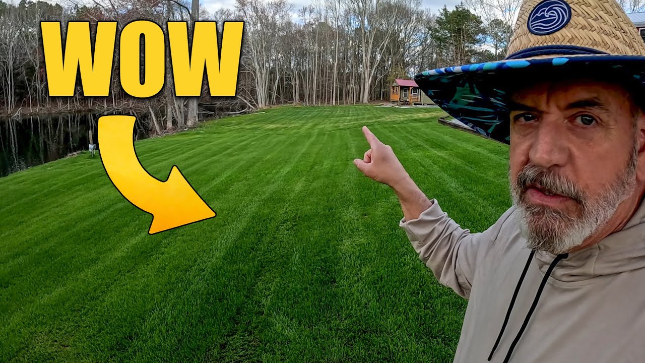 Seeding Spring Lawns How and When to Seed