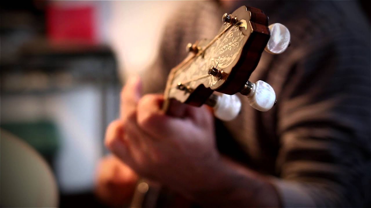 Irish tenor banjo - Cottage in the Glen