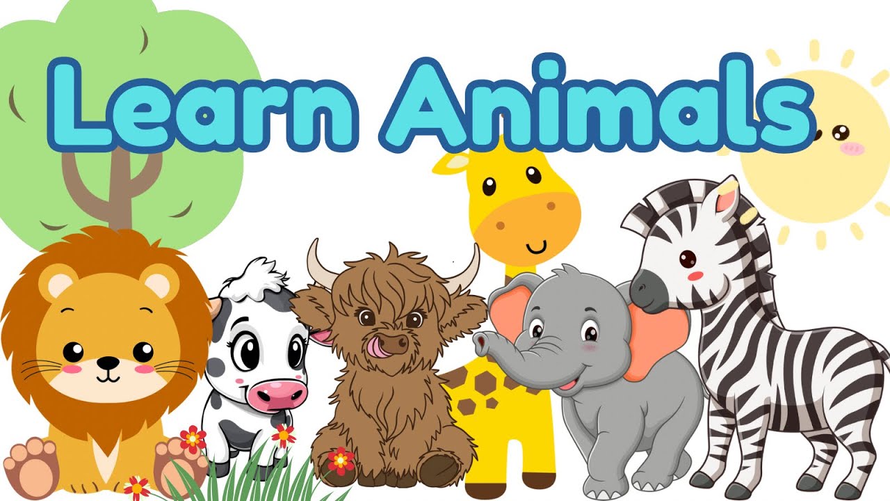 Learn and Play Surprise ANIMALS for Kids