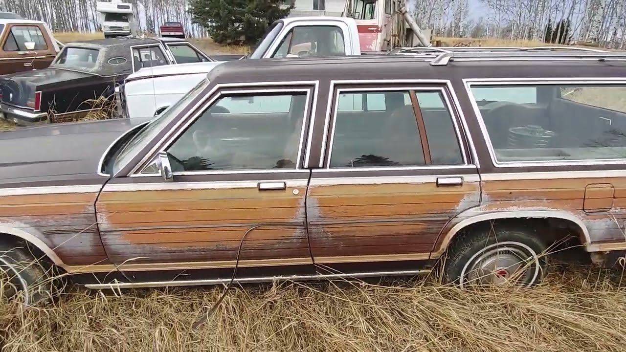 Field Fresh 1979 Ford LTD Country Squire. Will It run? Will it drive?