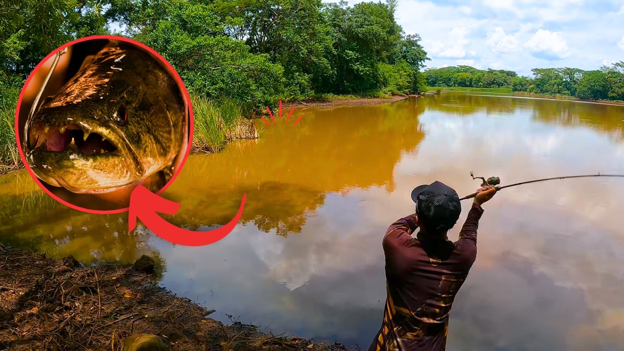 O DIA ESTAVA PARADO, MAS ESSA BATIDA MUDOU TUDO!
