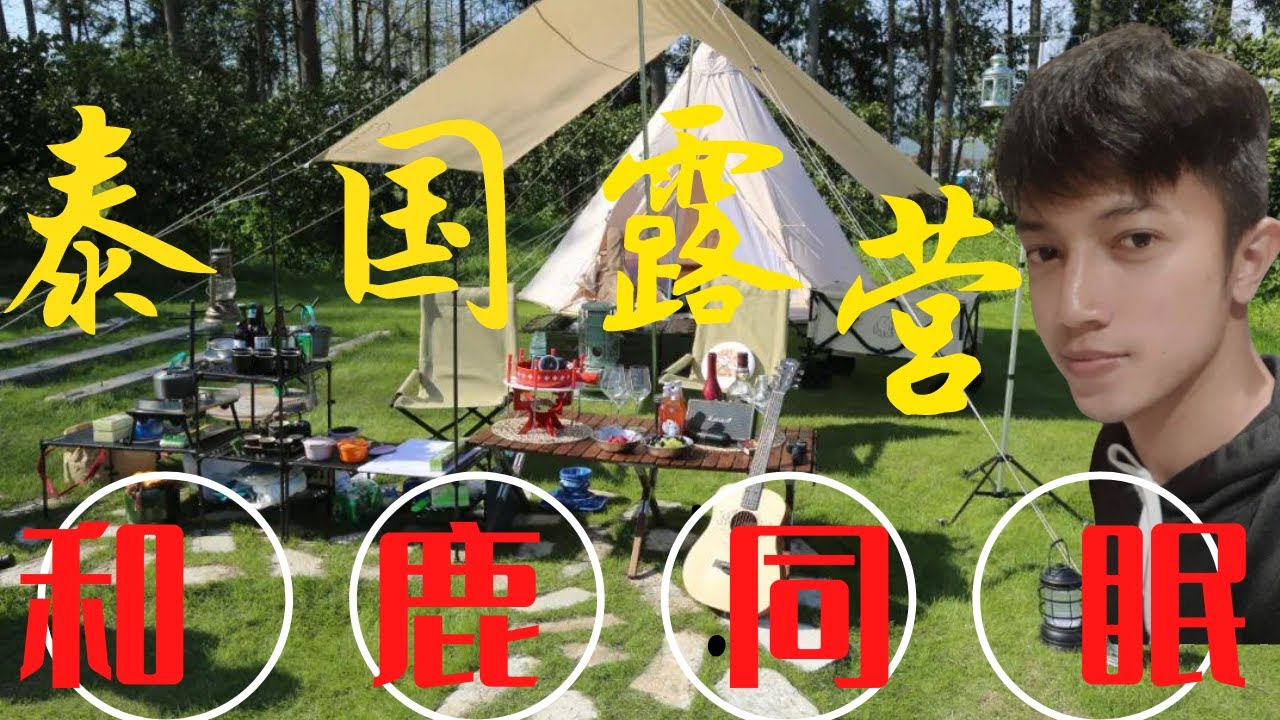 泰国【考艾3】和鹿一起睡在国家公园露营地 被野生鹿偷吃掉帐篷内所有食物后 徒步穿越瀑布 汽车没油泰国大妈手持酒瓶加油救援 考艾翻越最高峰登顶俯瞰恪呵叻府群山 野象尽在咫尺 环游泰国第二十三集危机重重