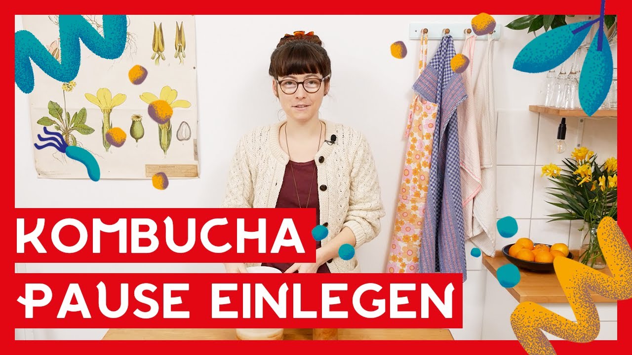 Kombucha Pause einlegen I So einfach geht's!