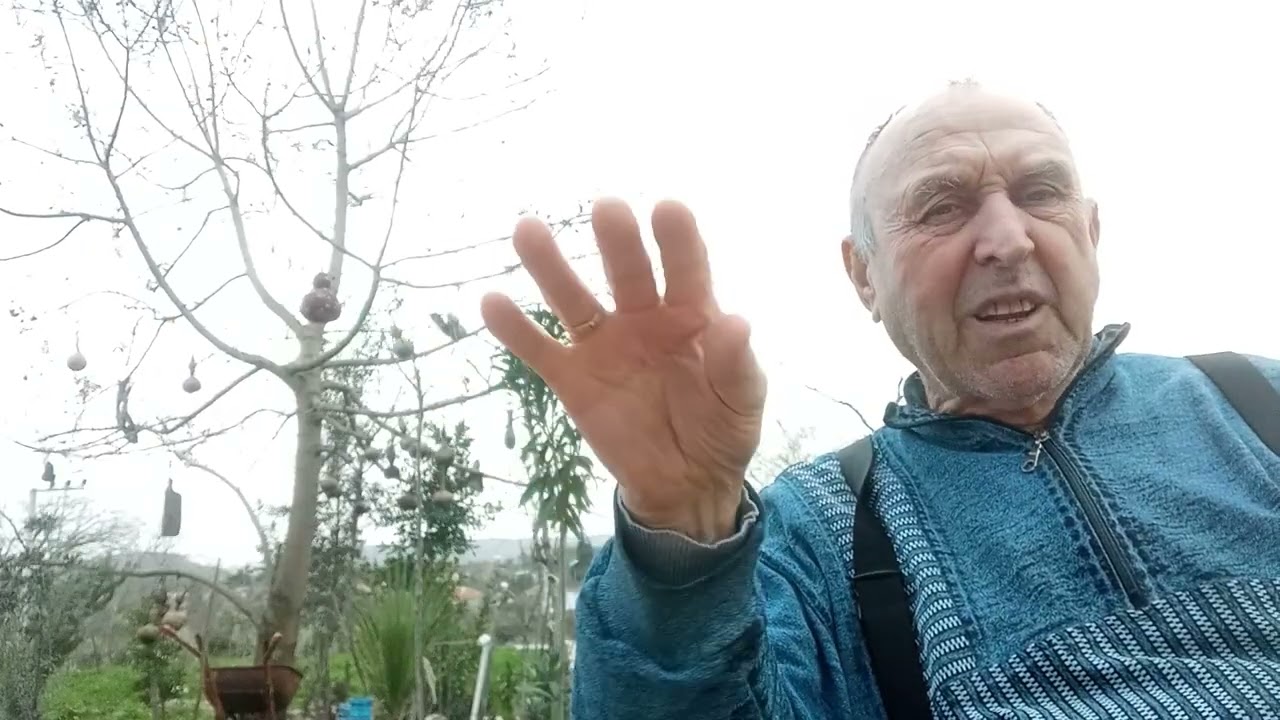 Tütün Zamanı Necati Cumalı
