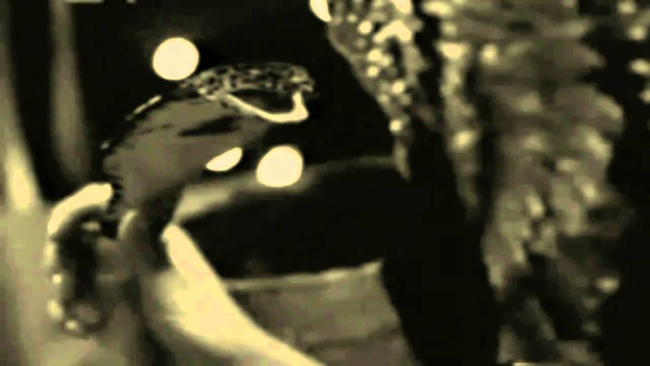 Ton van der Kleij ontmoet Jean Louzac  PART 2