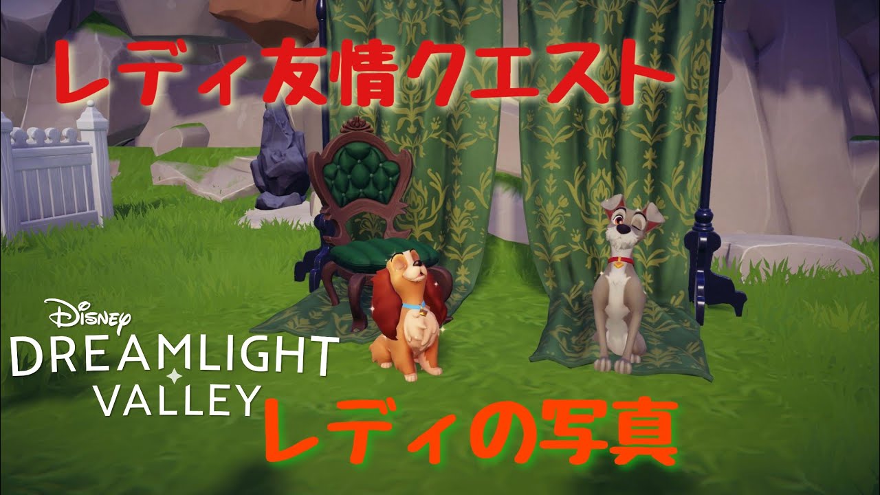 【ドリームライトバレー】レディ友情クエスト4　レディの写真【ドリバレ】