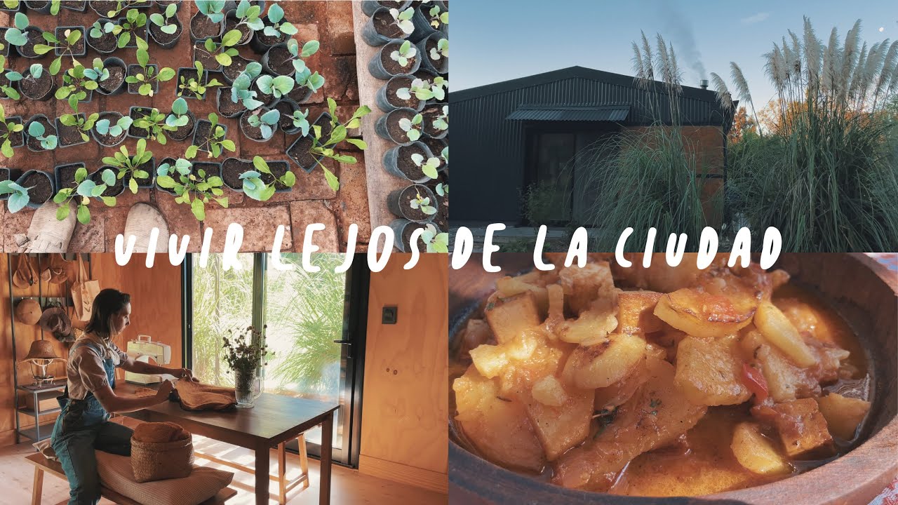 COMO LA NATURALEZA ME AYUDÓ |  almácigos de otoño, guiso de tofu y tarde de costura