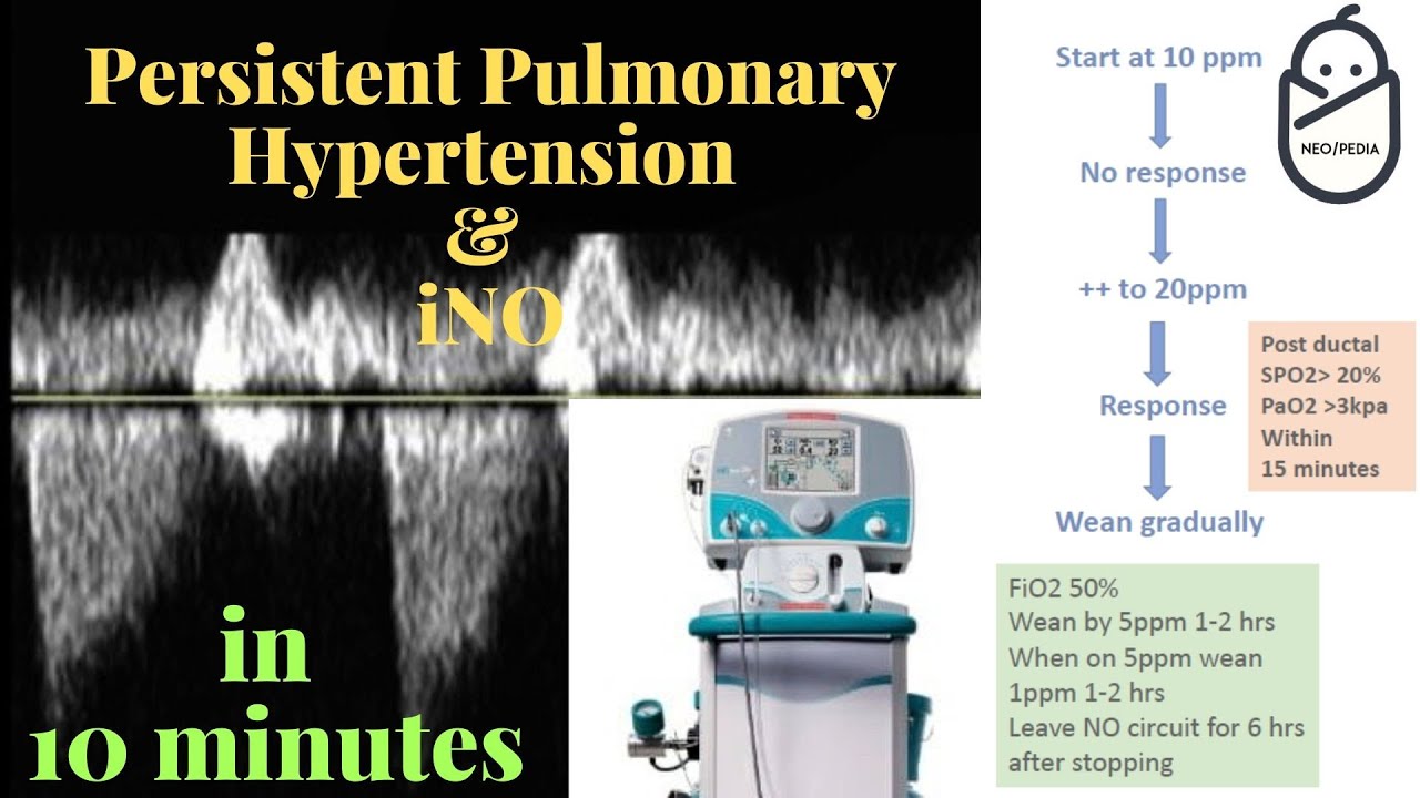Persistent Pulmonary Hypertension & inhaled Nitric Oxide in 10 minutes!