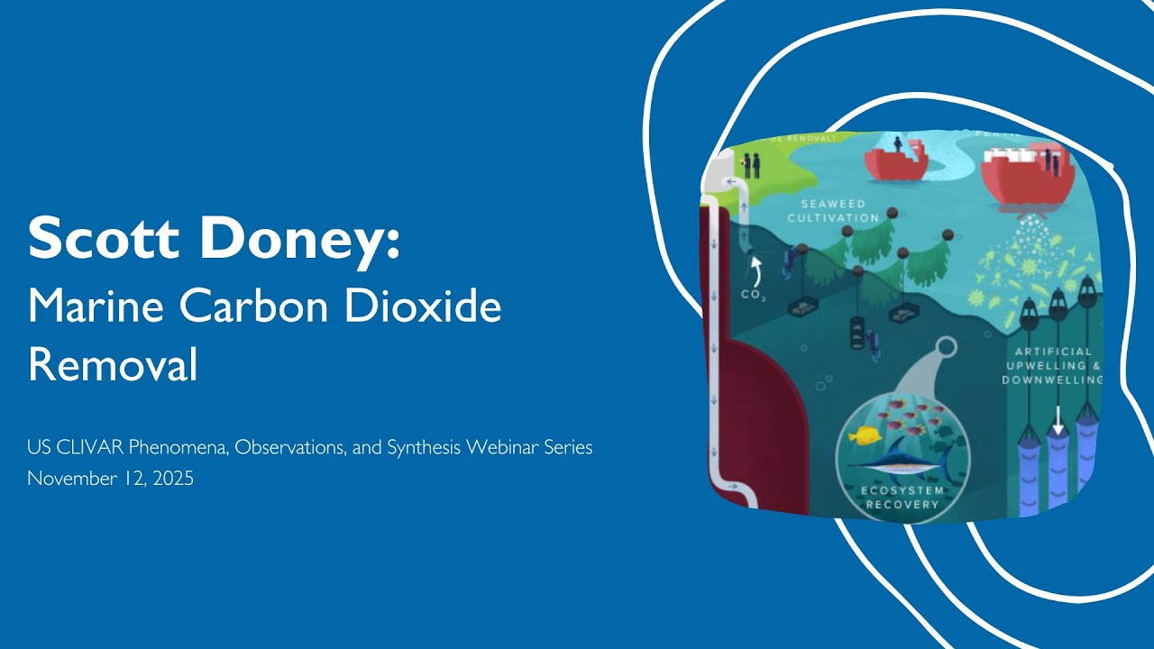 Marine Carbon Dioxide Removal