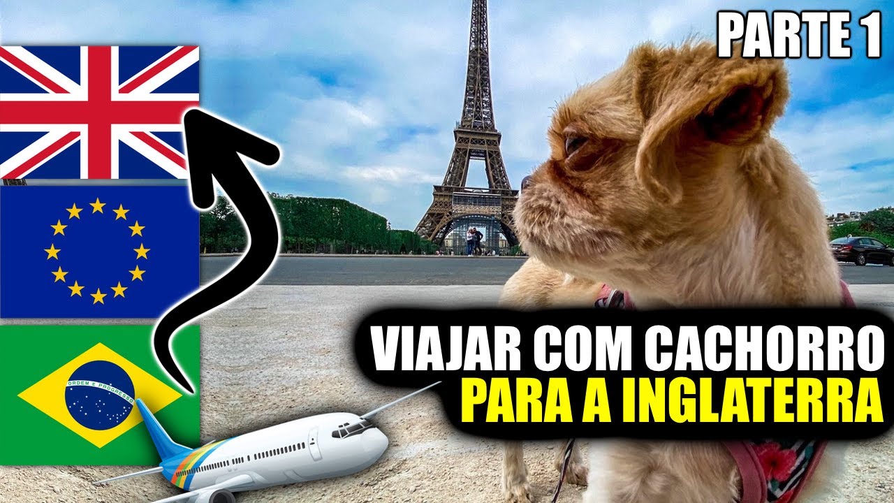 Como Viajar com Meu Cachorro do Brasil pra Inglaterra? Parte 1