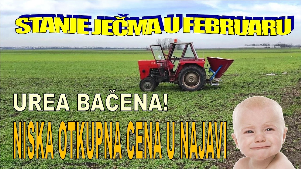 Будем ли мы высыпать продукцию на дорогу?