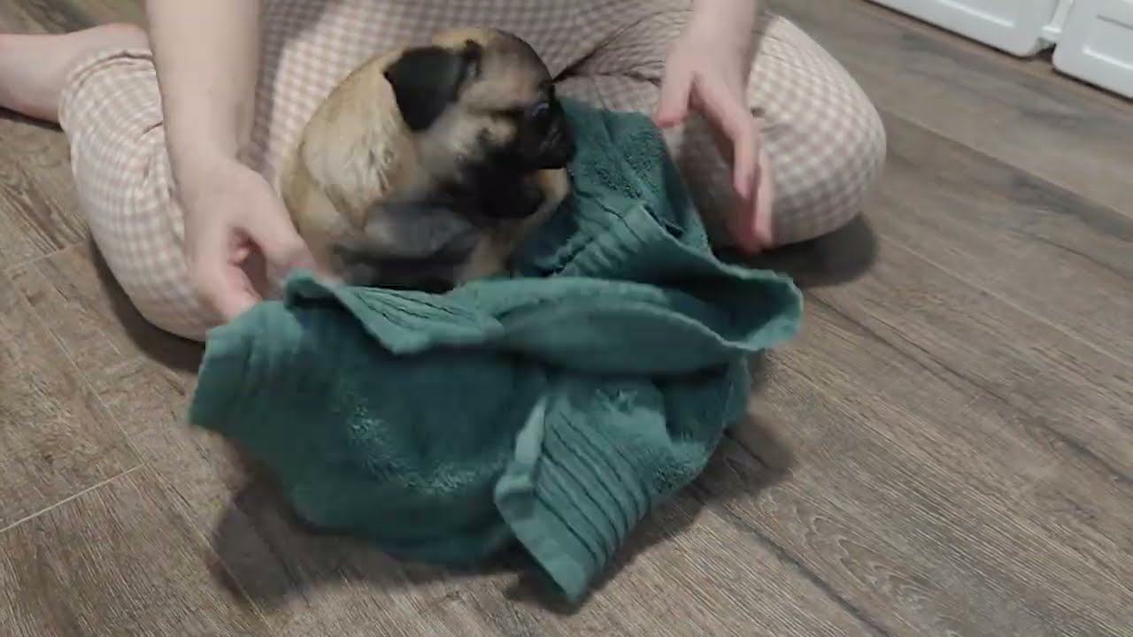Pasta's first bath time!!