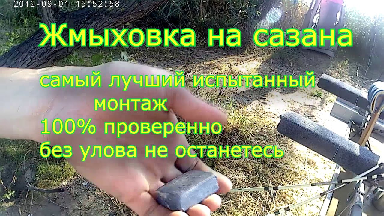 Макушатник, самая уловистая снасть на сазана. Как поймать карпа с помощью жмыха