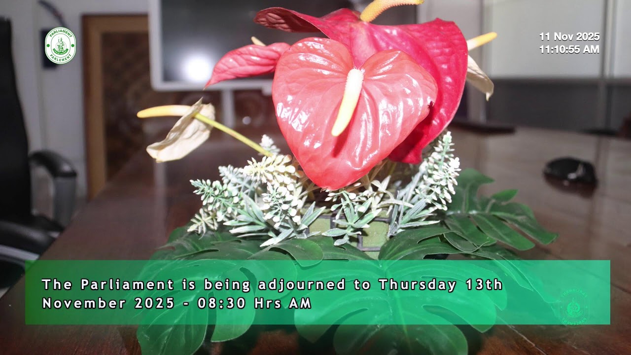 The Parliament of the Republic of Vanuatu -The Second Ordinary session of 2025 Day 4 - AM 11/11/25