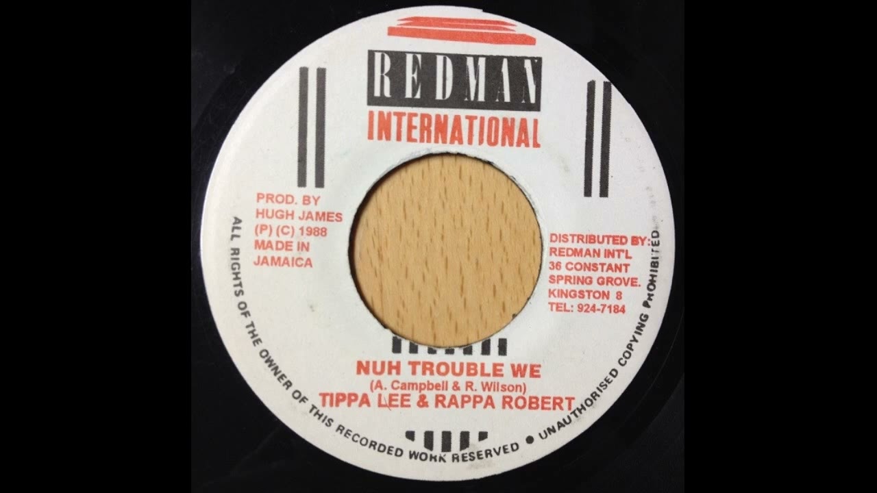tippa lee & rappa robert - nuh trouble we