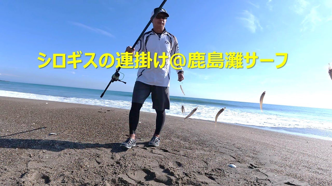【シロギスの投げ釣り】鹿島灘サーフで連掛け狙い