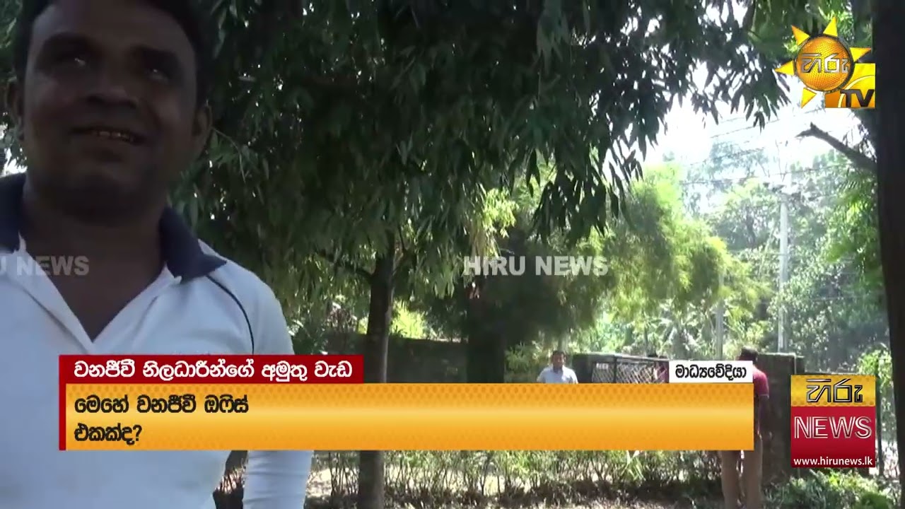 අලි වැට රාජකාරිවල නිරත සේවකයන් පෞද්ගලික නිවසක වැඩ-Hiru News