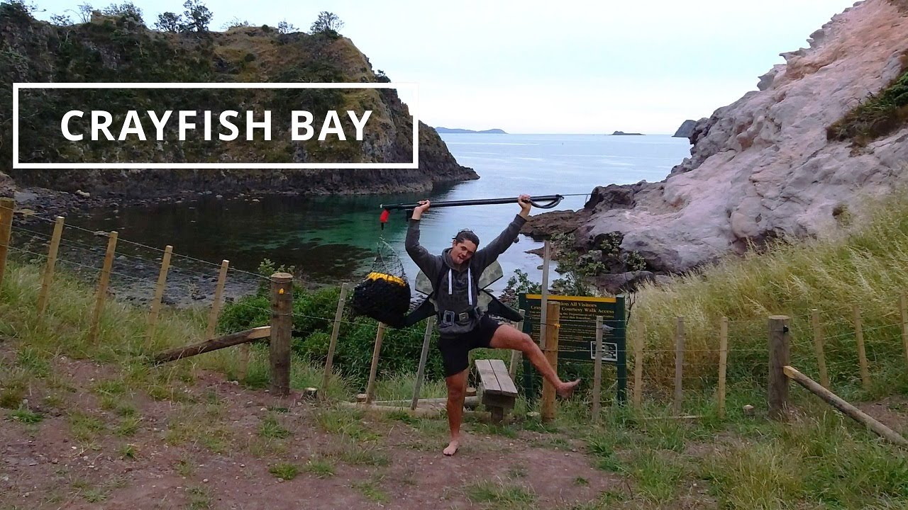 Crayfish Bay CATCH AND COOK!