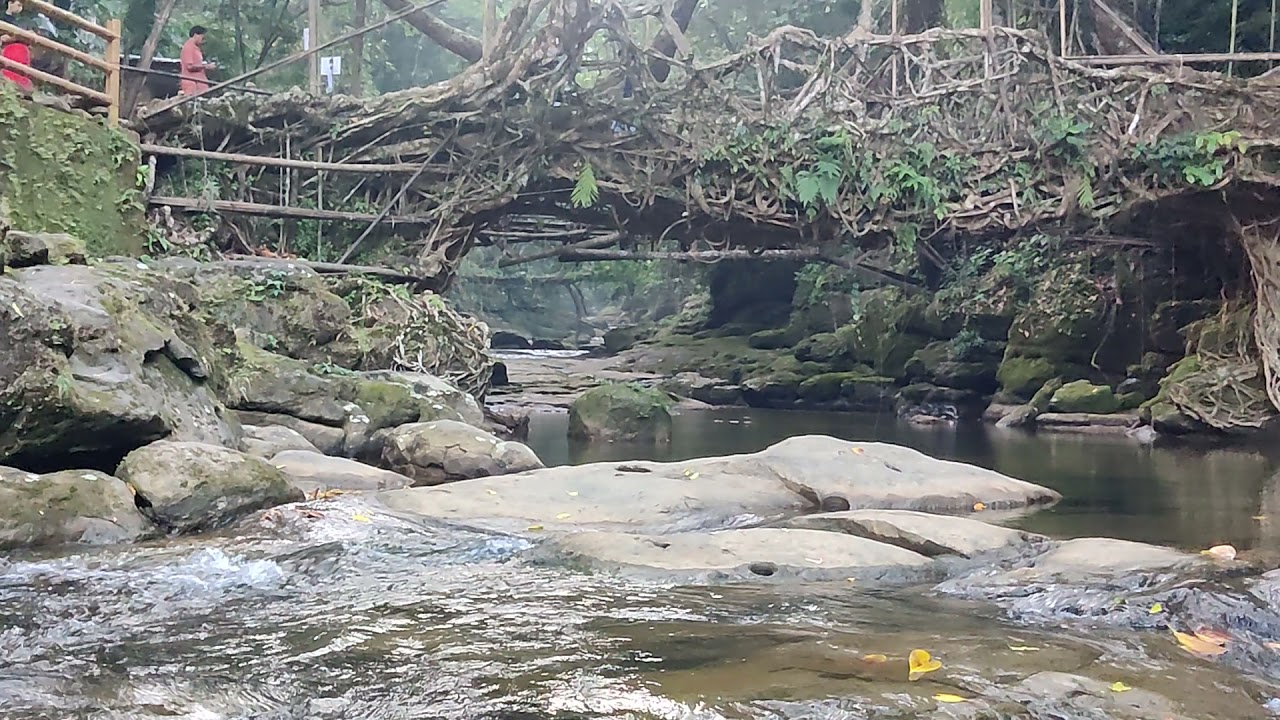 single root bridge, mawlynnong