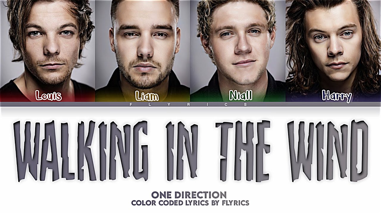 One Direction Walking in the Wind Lyrics (Color Coded Lyrics)