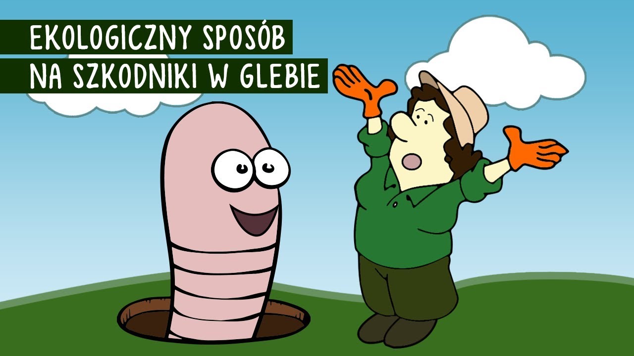 Jak zwalczać pędraki i nicienie?