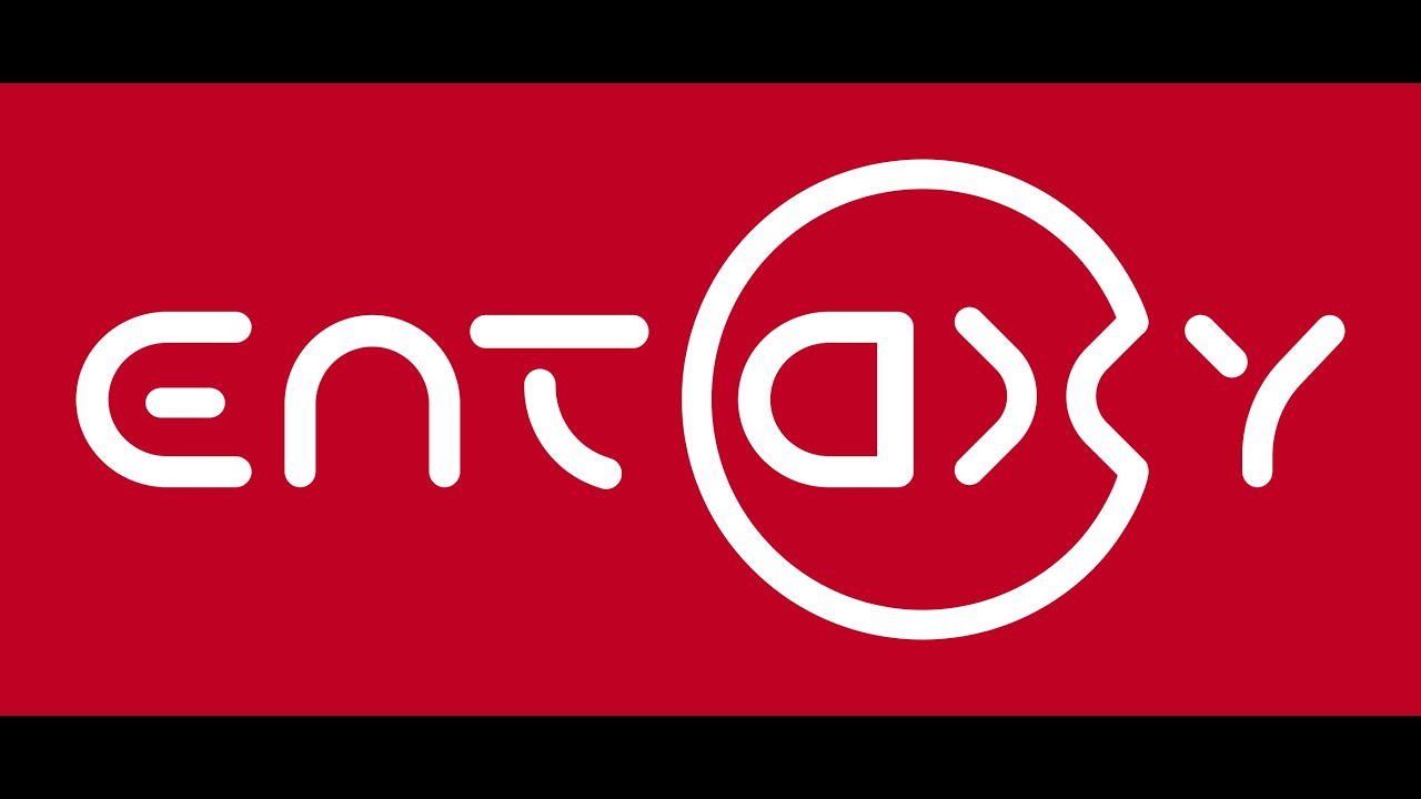 История создания Entaxy ION