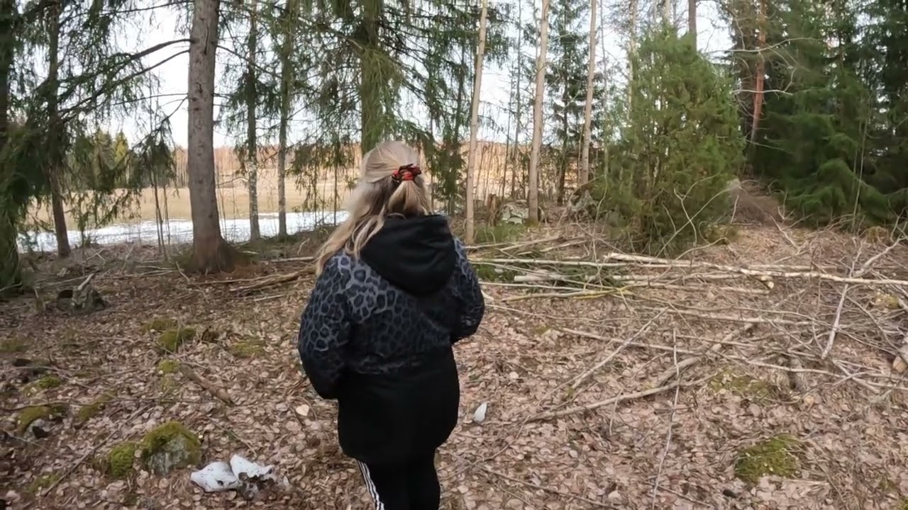 Lauantaikooste mökin pihalta