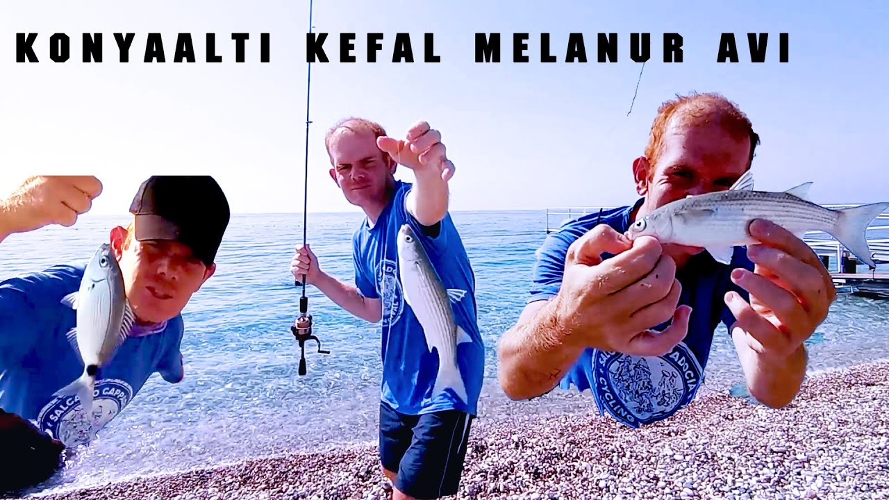 KONYAALTI KEFAL AVI -BALIK AVI