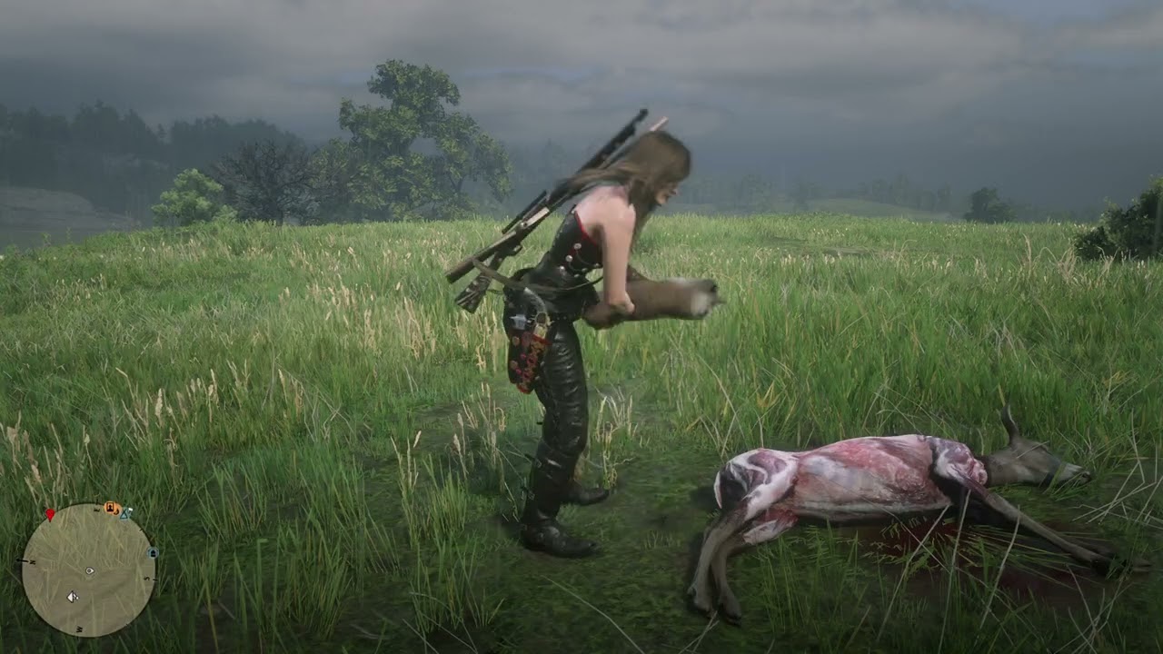 Red Dead Redemption 2 Mia Queen Hunting trader role