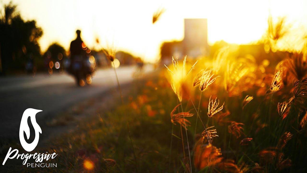 Marcel Vautier - Autumn Breeze