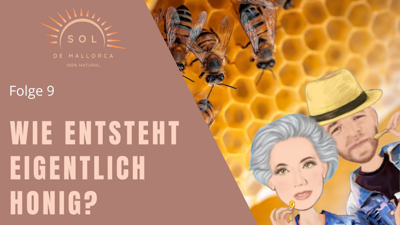 Sol de Mallorca Folge 9 | Wie entsteht Honig? | So arbeiten Bienen in der Imkerei auf Mallorca .