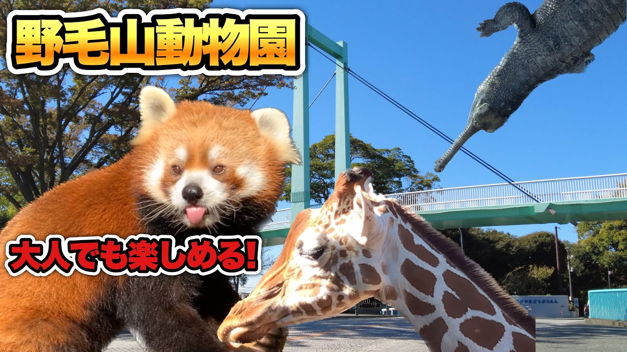 無料で満喫できる野毛山動物園!大人も丸1日楽しむ方法