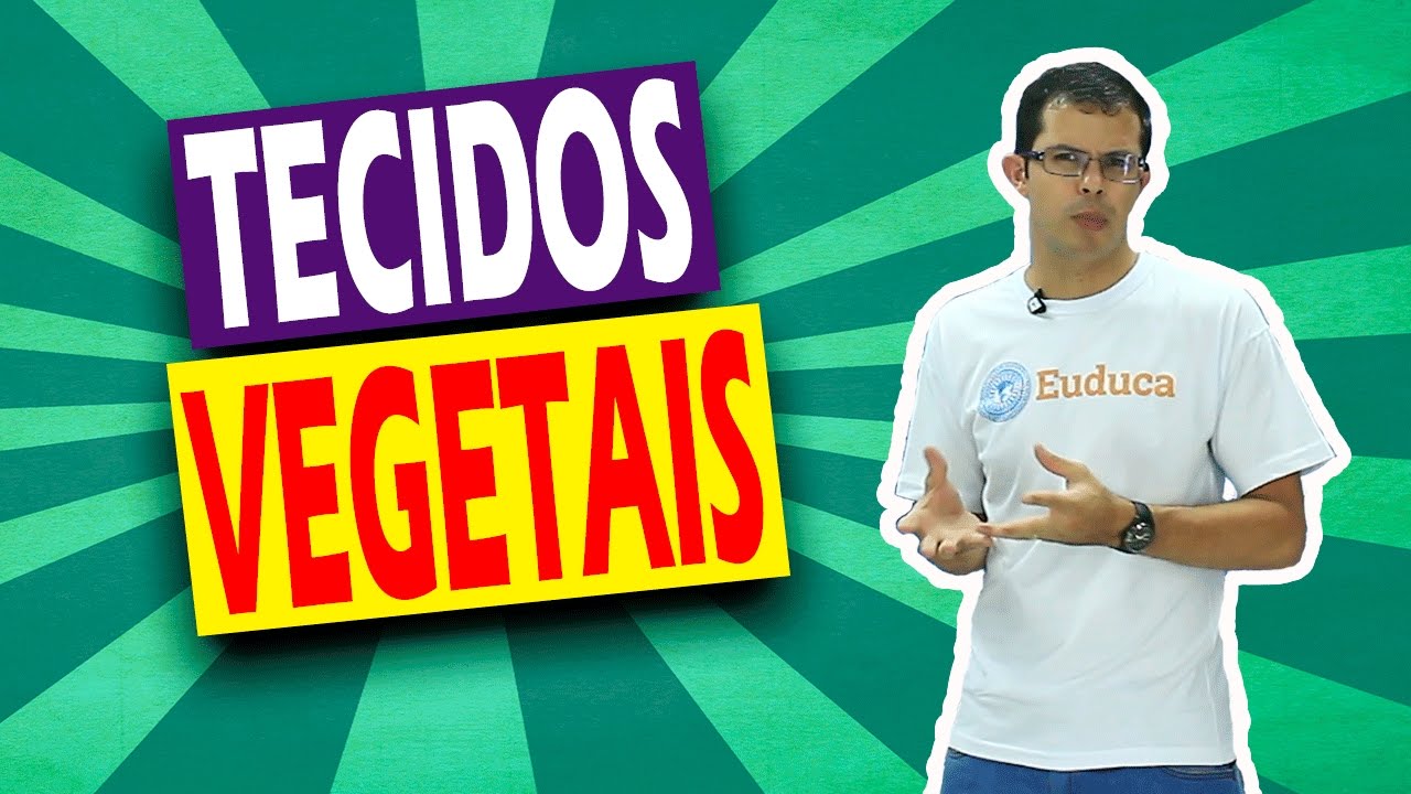 Tecidos Vegetais - Histologia - Biologia | Euduca