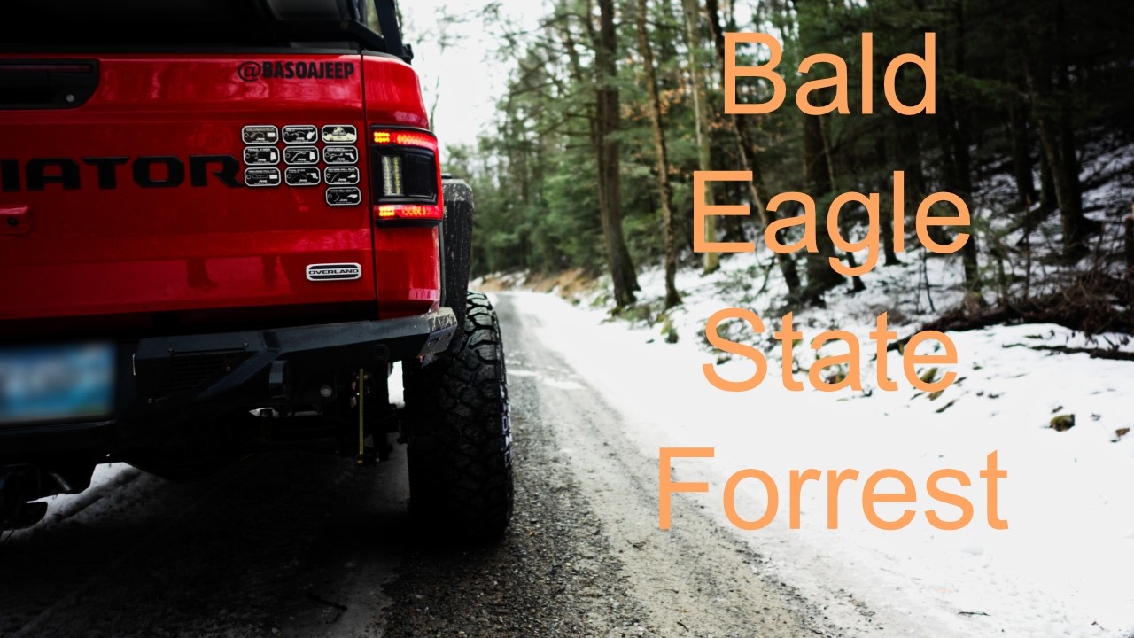 Bald Eagle State Forrest