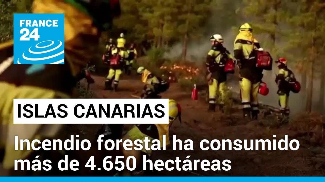 Incendio forestal en isla de La Palma ha consumido más de 4.650 hectáreas • FRANCE 24 Español