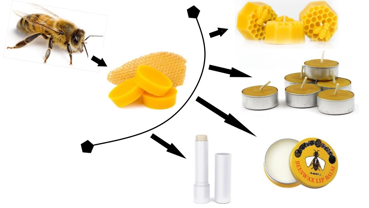 मधुमक्खी का मोम कैसे निकाले/How to extract bee wax/मधुमक्खी का मोम/ #BEEWAX/ Bee wax products/ #Bees
