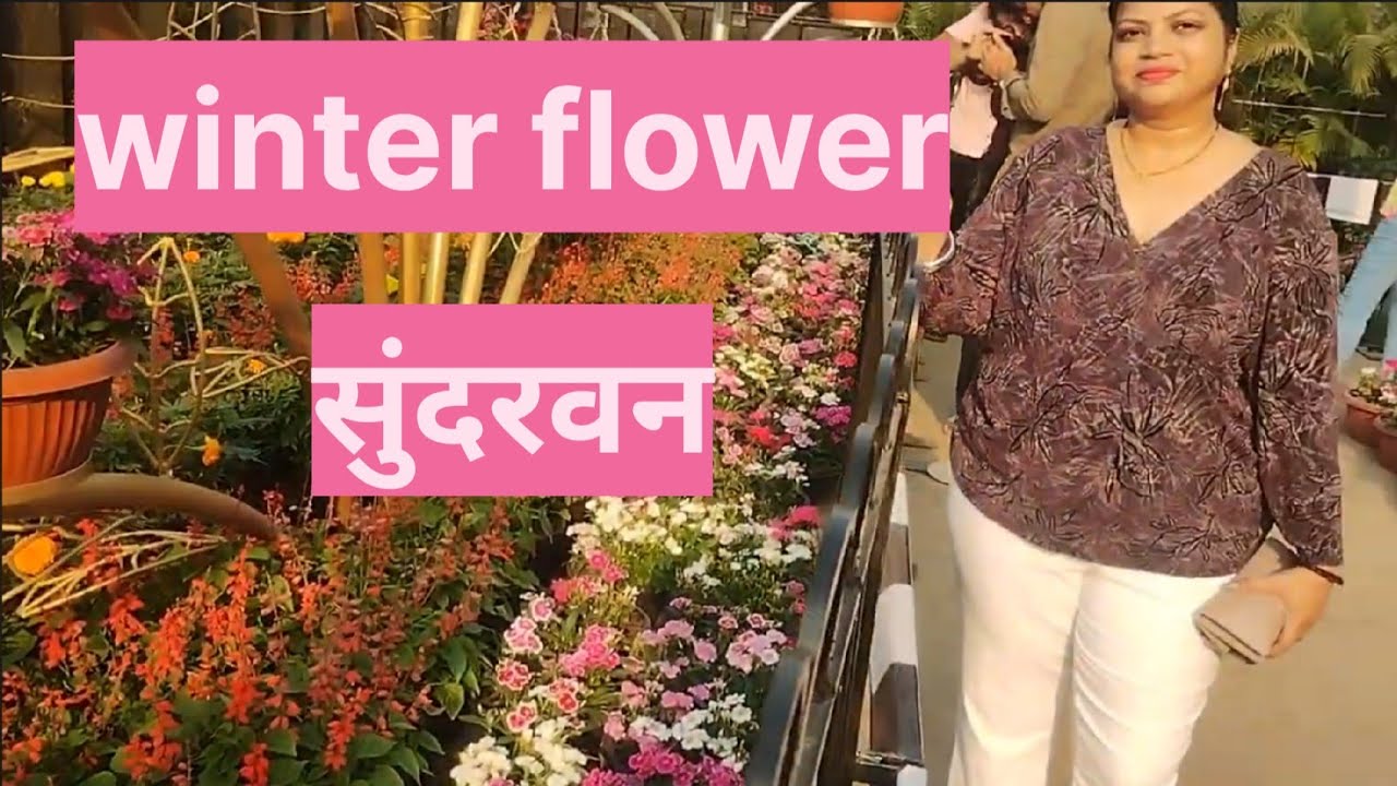 Winter flower show 🌹💮🌺🌸🏵️🪻                 #yt #youtube #youtuber #youtubevideo #youtubechannel 