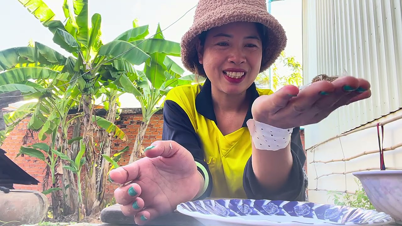 ការបកខ្ទឹមសងាយងាយ