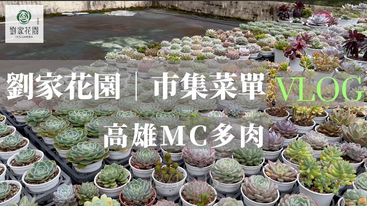劉家花園—多肉市集菜單｜高雄MC多肉園 第八屆肉田囍事｜多肉植物年度盛事｜#龍舌蘭 #觀葉植物 #多肉植物
